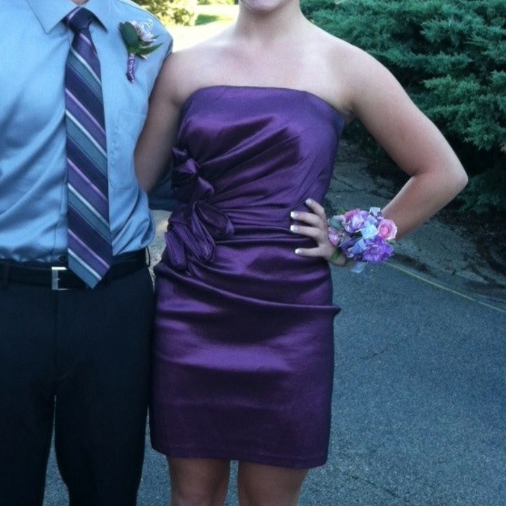 Beautiful Purple Jessica McClintock Dress